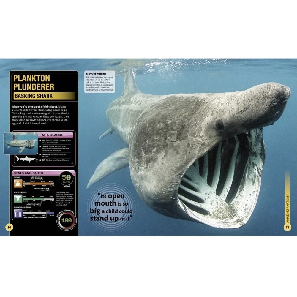 Super Shark Encyclopedia - Paperback - Preowned, LIKE NEW | FAST SHIPPING
